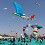 international kite festival slider